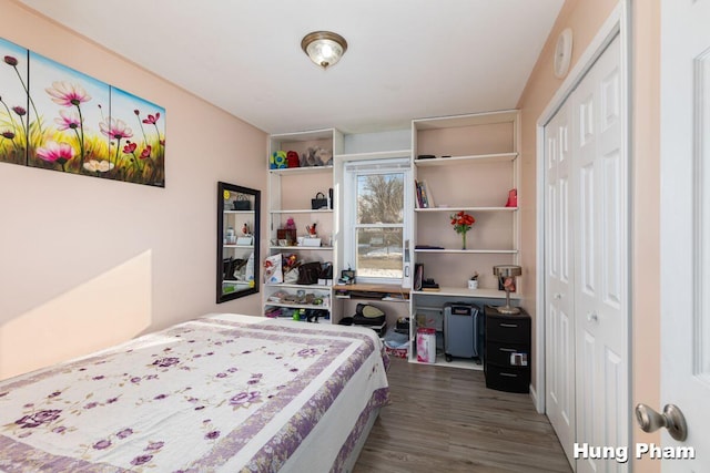 bedroom featuring dark wood-type flooring and a closet