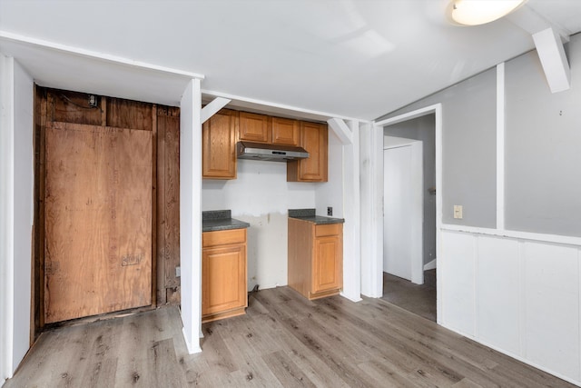 kitchen with lofted ceiling and light wood-type flooring