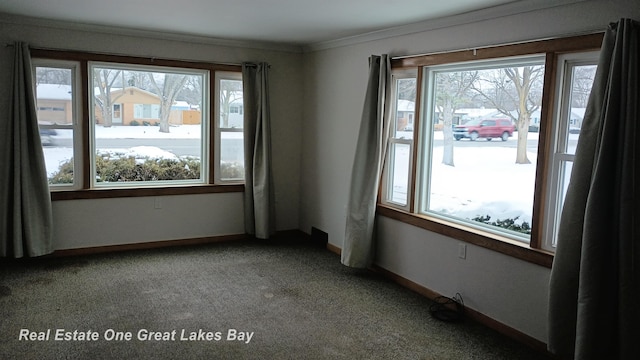 unfurnished room featuring carpet and ornamental molding