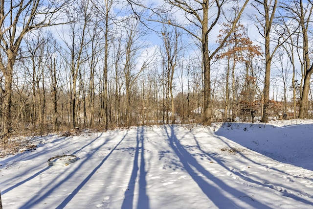 view of snowy yard