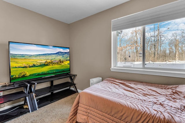 carpeted bedroom with radiator