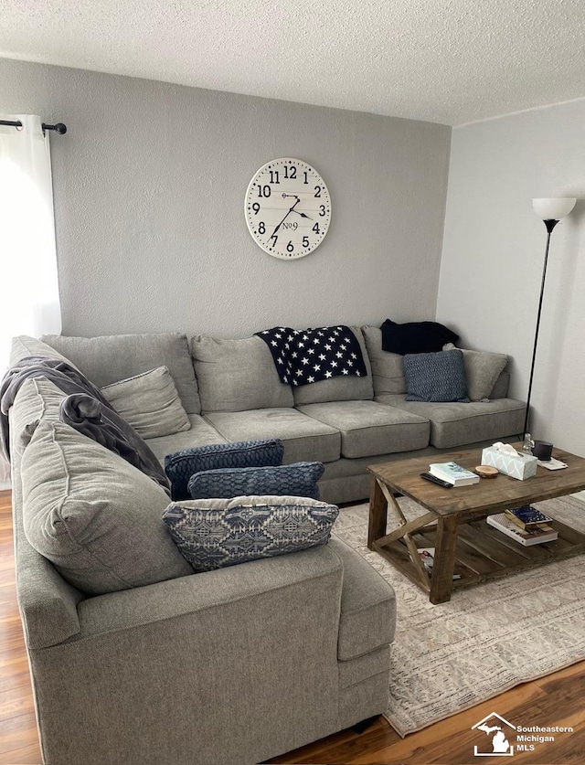 living room with a textured ceiling and hardwood / wood-style flooring