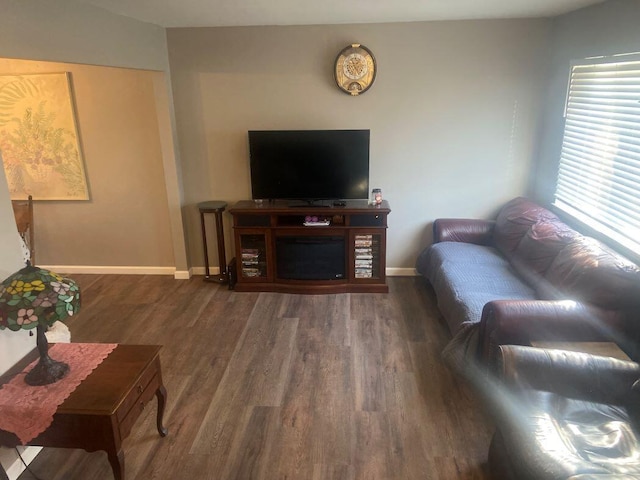 living room with dark wood-type flooring