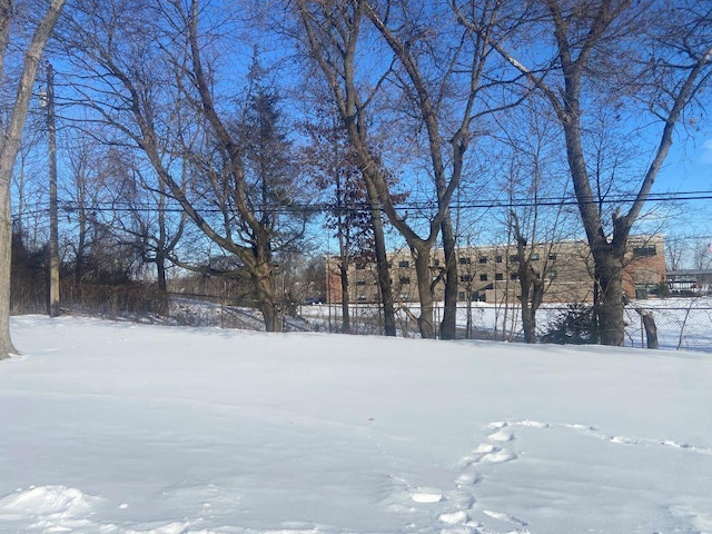 view of yard covered in snow