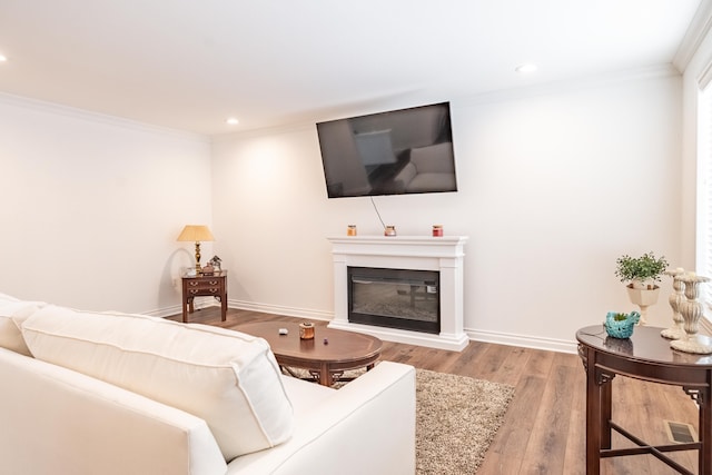 living room featuring wood-type flooring and crown molding