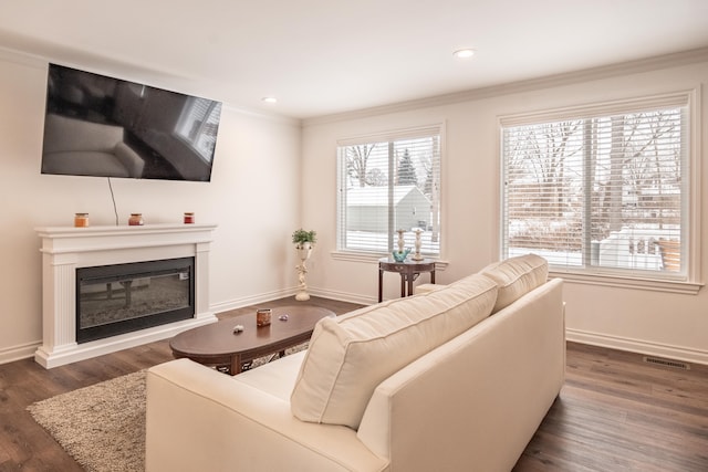 living room with crown molding and dark wood-type flooring