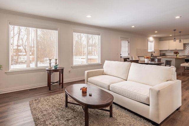 living room featuring sink, ornamental molding, and dark hardwood / wood-style floors