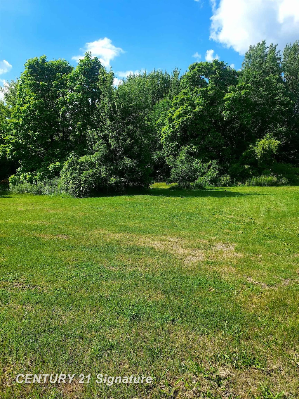 11038 Farrand Rd, Montrose, MI 48457 - photo 1