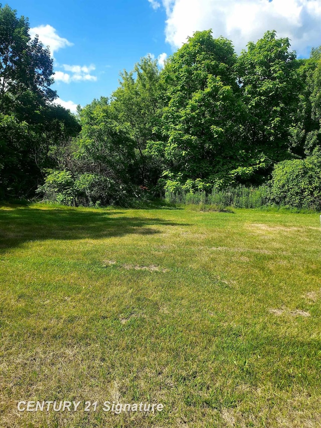 11038 Farrand Rd, Montrose, MI 48457 - photo 2