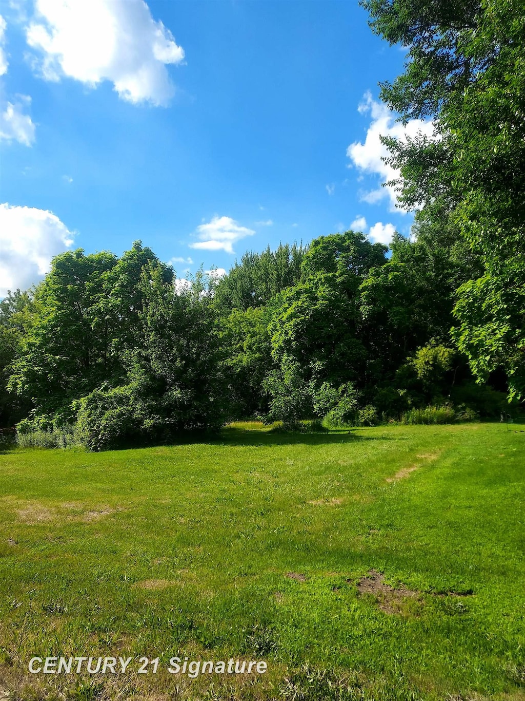 11038 Farrand Rd, Montrose, MI 48457 - photo 3