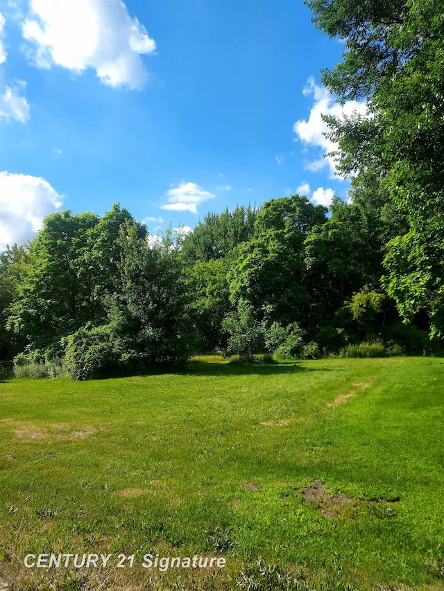 11038 Farrand Rd, Montrose, MI 48457 - photo 3