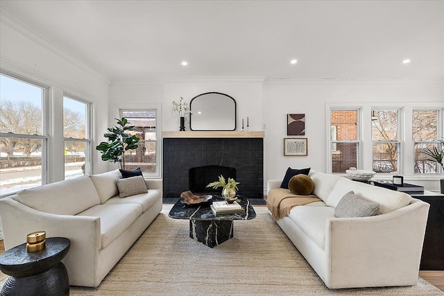 living room featuring crown molding