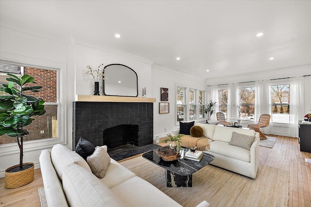 living room with crown molding and light hardwood / wood-style floors