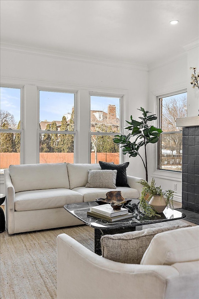 living room featuring ornamental molding and light hardwood / wood-style flooring