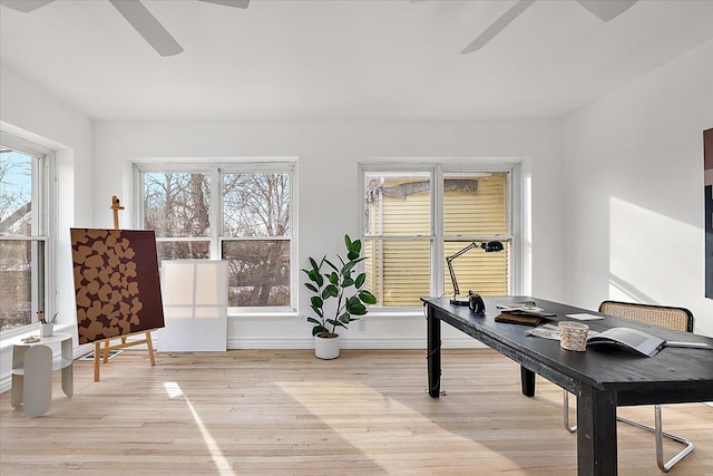 home office with ceiling fan and light wood-type flooring