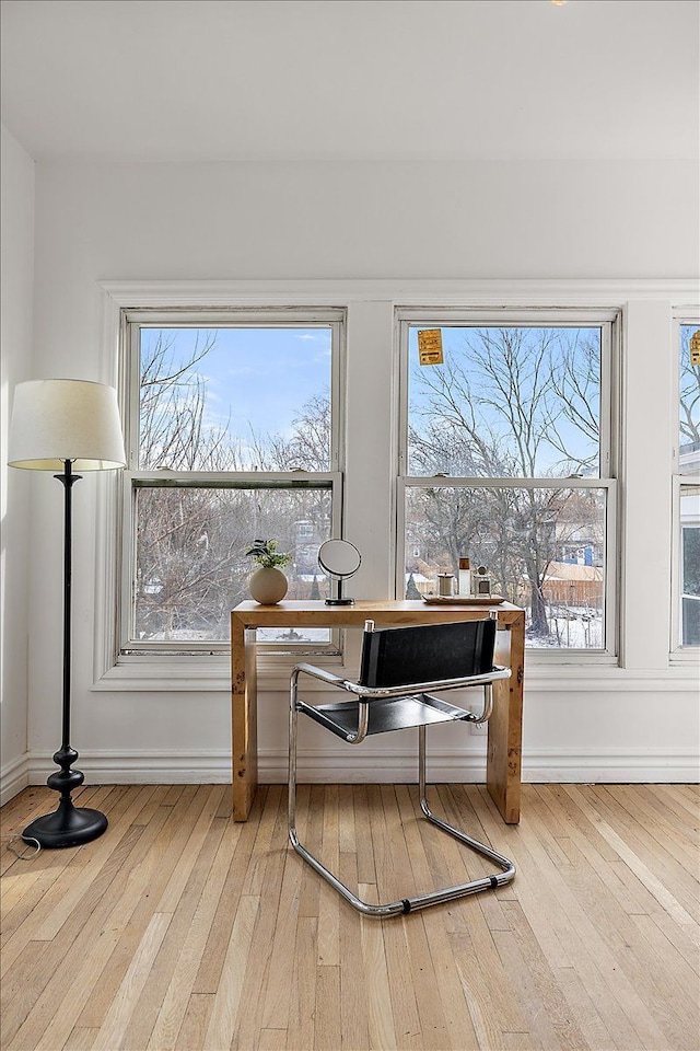 office featuring a wealth of natural light and wood-type flooring