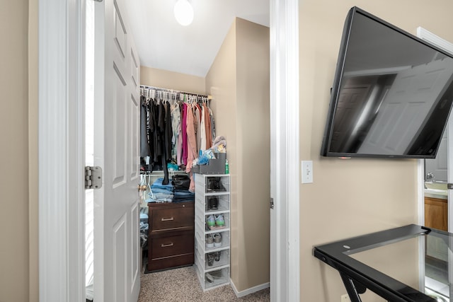 walk in closet with light colored carpet