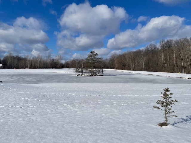 view of yard covered in snow