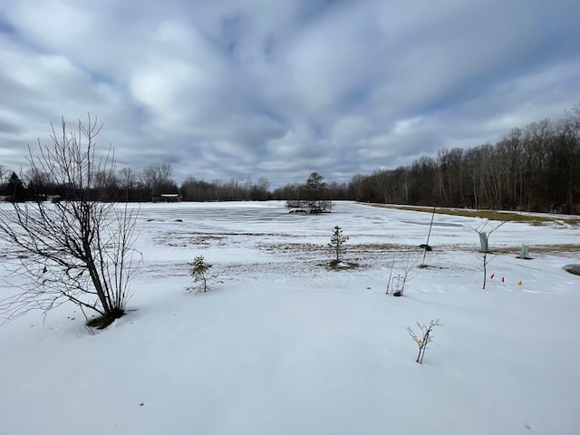 view of yard layered in snow