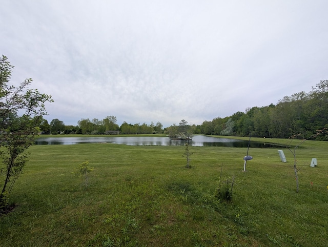 772 Hawick Cir, Mount Morris, MI 48458 - view of green lawn featuring a water view