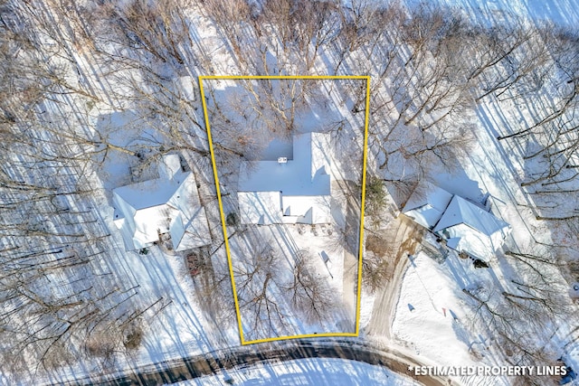 310 Sycamore St, Litchfield, MI 49252 - view of snowy aerial view