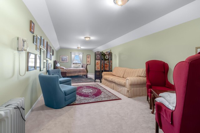 310 Sycamore St, Litchfield, MI 49252 - living room with radiator heating unit, carpet floors, baseboards, and lofted ceiling