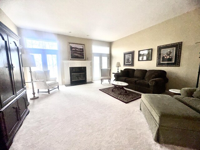 310 Sycamore St, Litchfield, MI 49252 - living area with a fireplace with flush hearth and carpet floors