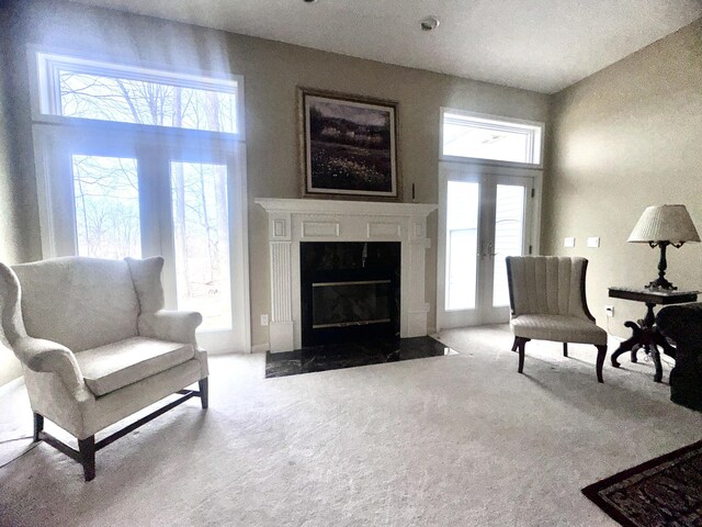 310 Sycamore St, Litchfield, MI 49252 - carpeted living area featuring plenty of natural light and a high end fireplace