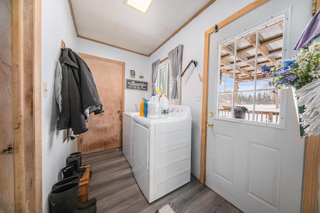 laundry area featuring dark wood-type flooring, washer and dryer, and ornamental molding