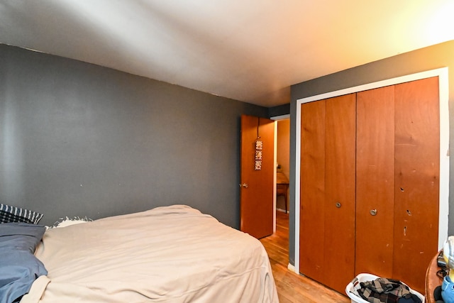 bedroom featuring a closet and light hardwood / wood-style flooring