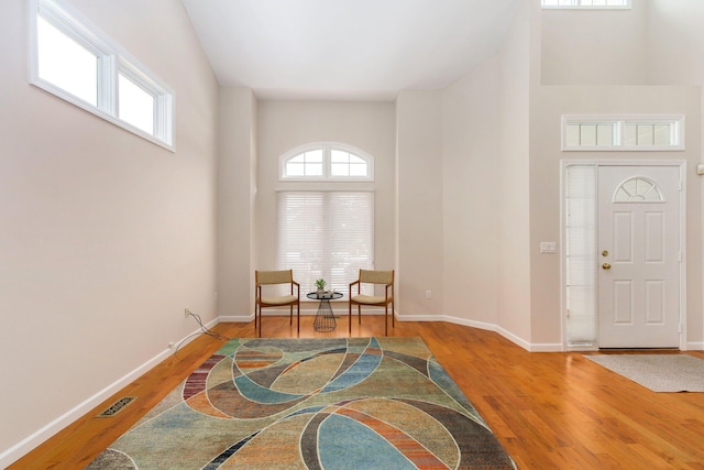 foyer featuring a high ceiling, plenty of natural light, and wood-type flooring