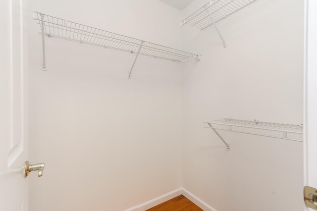 walk in closet featuring hardwood / wood-style floors