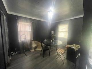 living area featuring plenty of natural light and wood-type flooring