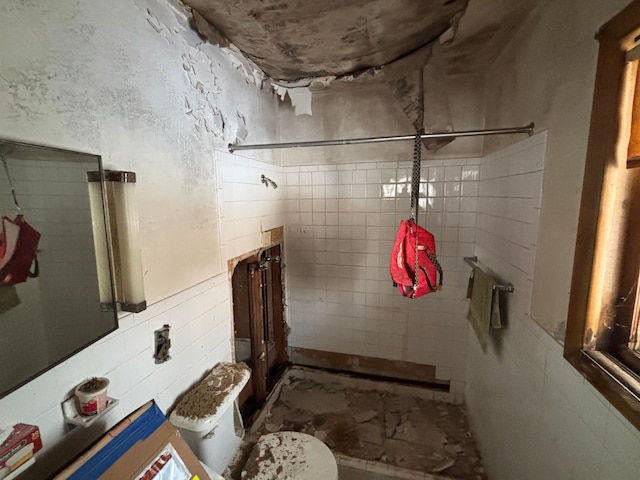 bathroom with toilet and a shower