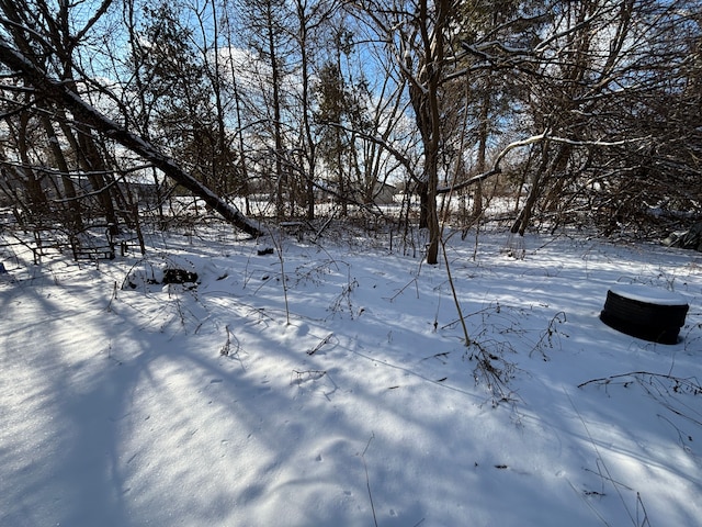 view of snowy yard