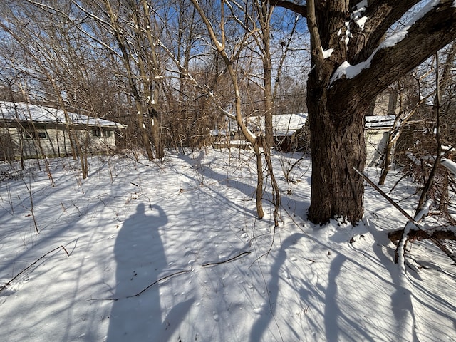 view of yard covered in snow