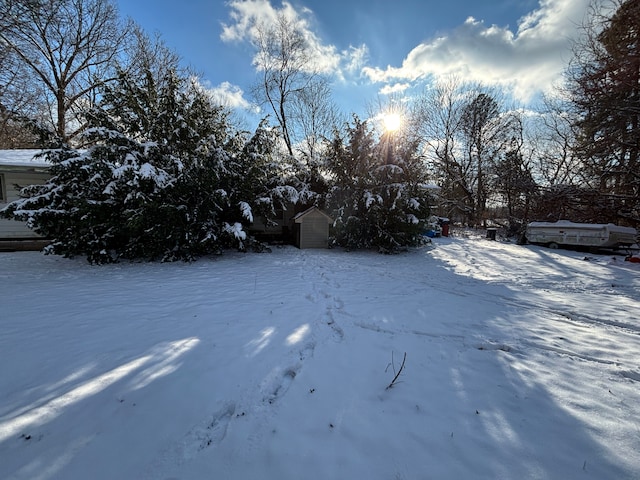 view of snowy yard