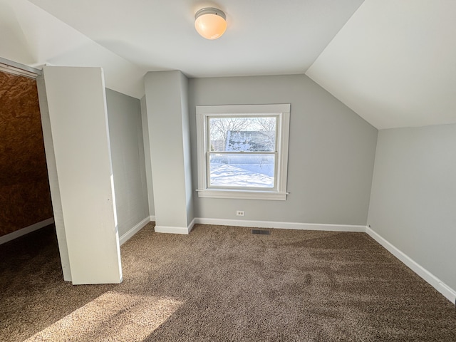 additional living space with carpet flooring and lofted ceiling