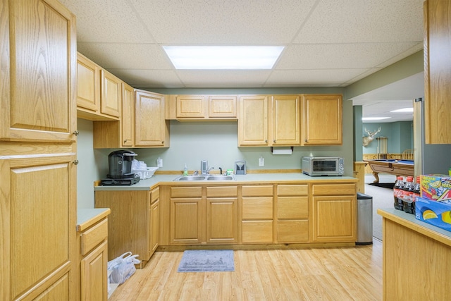 kitchen featuring a paneled ceiling, light brown cabinetry, sink, and light hardwood / wood-style flooring