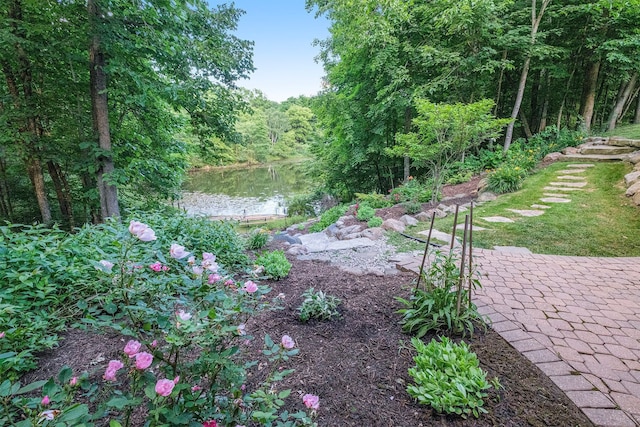 view of yard with a water view