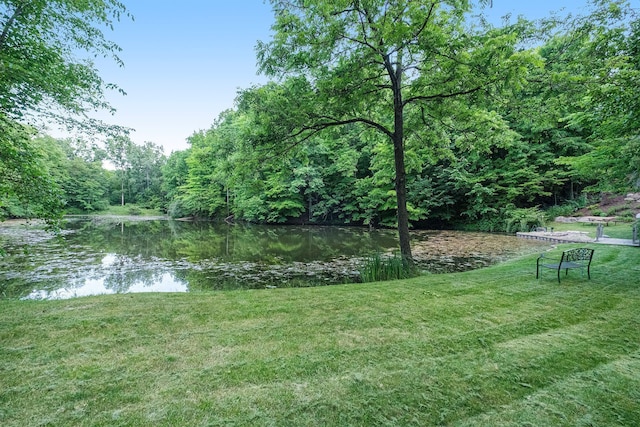 view of yard featuring a water view