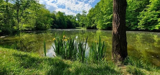 view of nature with a water view