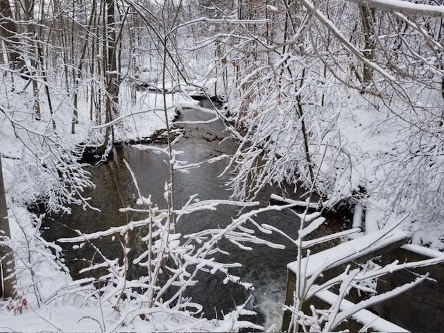 view of snow covered land