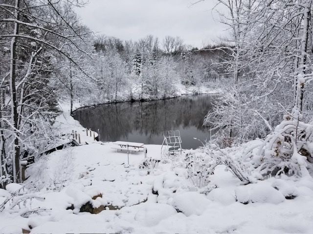 view of water feature