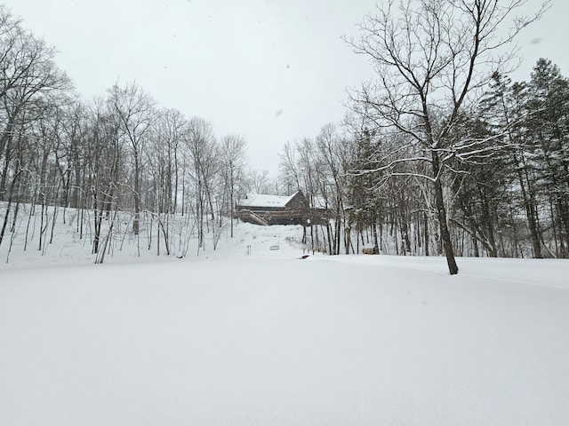 view of yard covered in snow