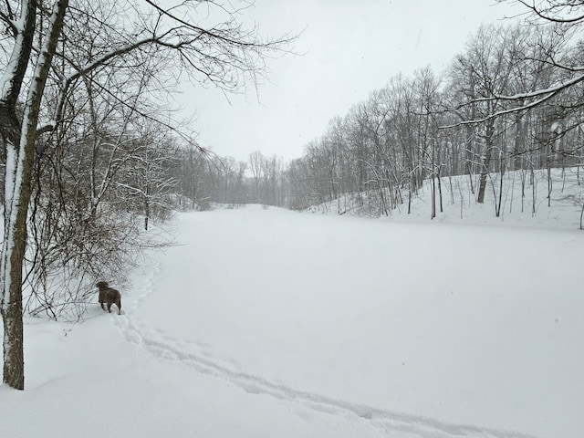 view of yard layered in snow