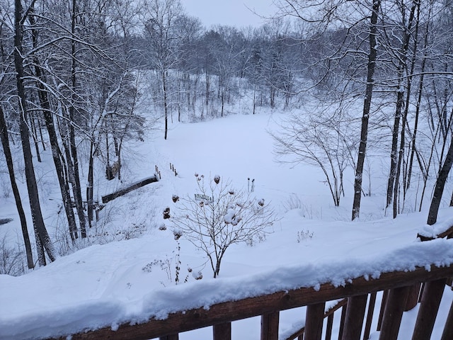 view of snowy yard