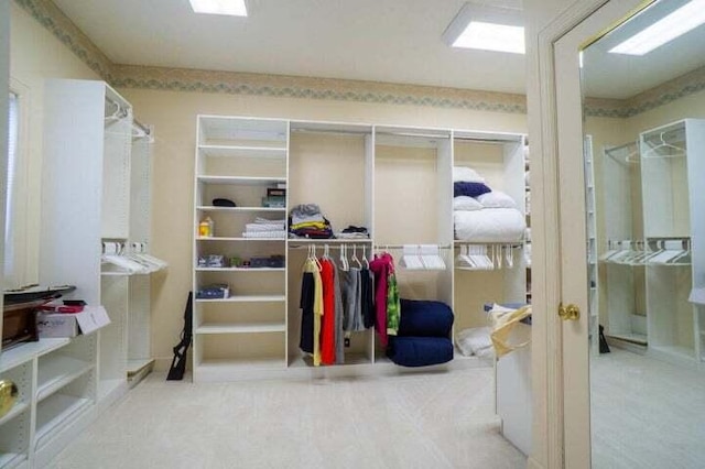 walk in closet featuring carpet flooring