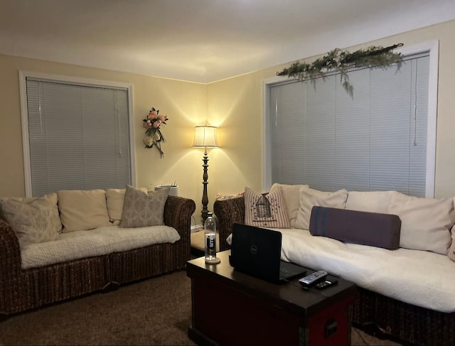 living area featuring dark colored carpet