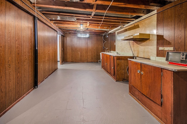 basement with wooden walls